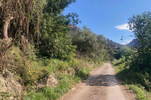 Landejendom i El Perello, Tarragona, El Perello - € 36.000 | Ref: Finca Montanas - foto 29